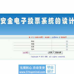 asp.net324安全电子投票系统