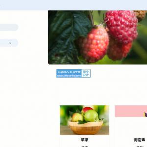 springboot Vue在线水果蔬菜商城系统java383