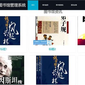java Vue中学图书馆管理系统ssm228