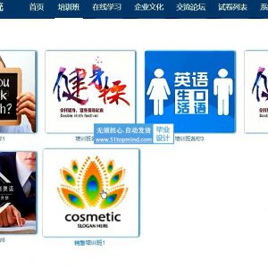 java Vue企业销售人才培训系统ssm295