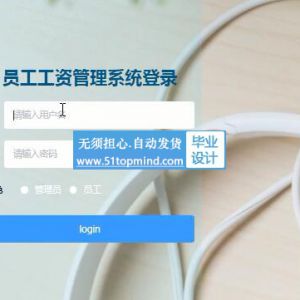 springboot+vue企业员工工资管理系统java662