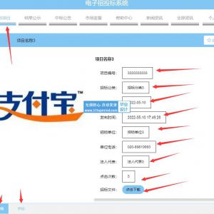 springboot+vue电子招投标系统java916