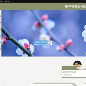 php+vue电子资源类网站的设计与实现