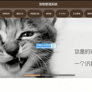 58Vue-springboot宠物用品商城管理系统宠物领养寄养