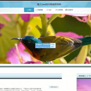 1624jspm基于j2ee的问卷调查系统--论文