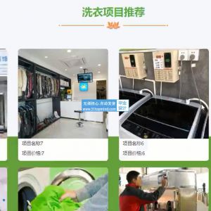 于springboot连锁 洗衣店管理系统 含商家-vue