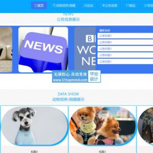 springboot258流浪动物宠物救助网站+vue