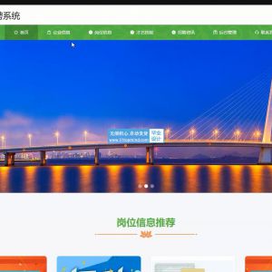 211springboot vue网上招聘求职系统带邮箱