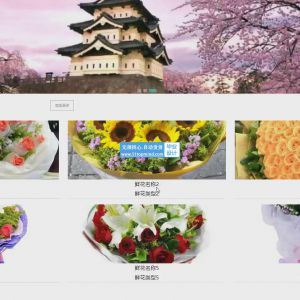 springboot斗南花卉鲜花商城管理信息系统 采购 财务 功能全