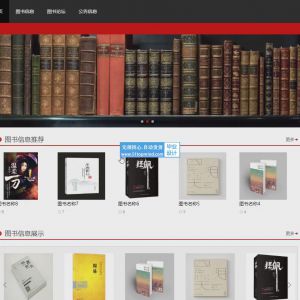 图书资料借阅信息管理系统的设计与实现