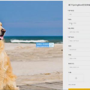 SpringBoot的宠物爱好者交流商城系统