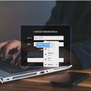 079_springboot中药材进存销管理系统