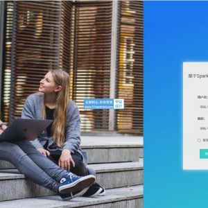 springboot基于Spark的电信用户行为分析系统 可视化统计系统