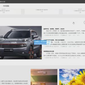 springboot乘用车汽车销售市场销量情况二手车可视化分析