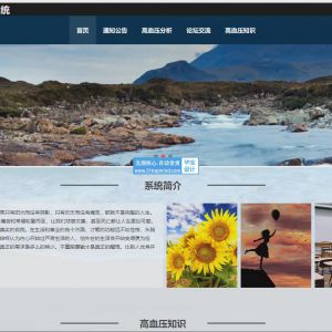 django基于大数据的高血压人群分析系统