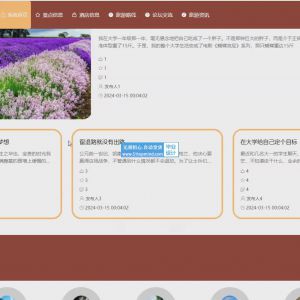 旅游服务行程规划平台 qdg2fmsf 可视化