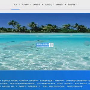 海南自贸港智慧服务平台