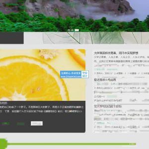 水果购物商城管理系统 5n1fg985_