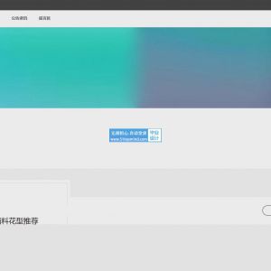 服装选购面料花型试衣系统