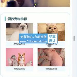 vue3.js宠物领养系统 原生微信小程序